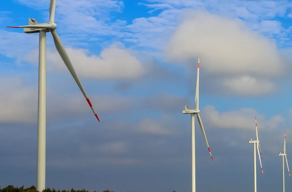 අළු යට ගිනි ඇවිලෙන මන්නාරමේ සුලං විදුලි ව්‍යාපෘතිය