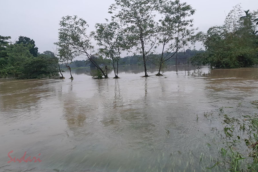 මාවිල්ආරුව අවට සිරවී සිටි 121කට වැඩි පිරිසක්                     ගුවන් හමුදාව මුදාගනී