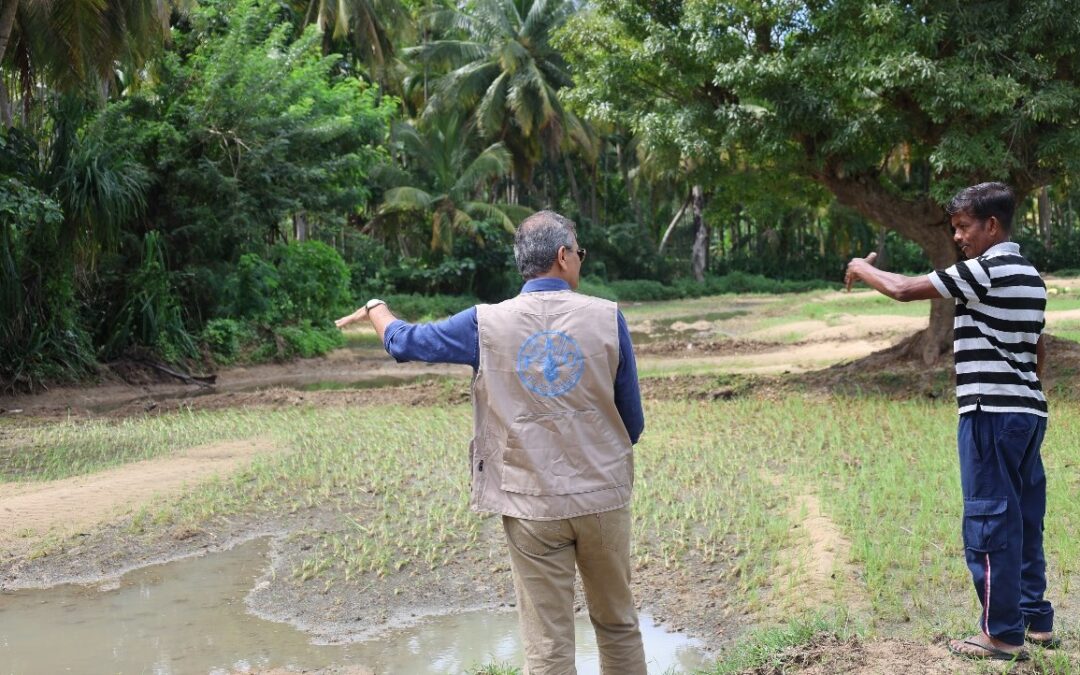 FAO ready to work with Sri Lanka government, agencies on disaster aid