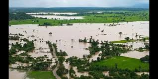 දිට්වා සුළි කුණාටුවෙන් ශ්‍රී ලංකාවේ වී වගාවටත්,                    ක්ෂේත්‍ර බෝග වගාවටත් බරපතළ හානි සිදුව තිබෙනවා                     – කෘෂිකර්ම, පශු සම්පත් අමාත්‍යාංශයේ ලේකම්  කියයි