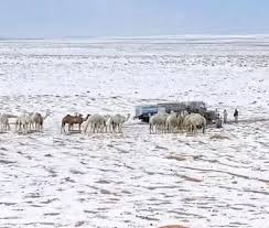 වසර 30කට පසු සෞදි අරා­බියට හිම­ප­ත­න­න­යක් !                            සෙල්සි­යස් අංශක 4කට උෂ්ණත්වය බහි