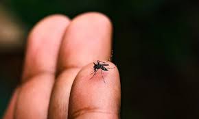 ගංවතුර බැස යෑමත් සමඟ  වසංගත රෝග                                පැතිර යෑමේ දැඩි අවදානමක් !                                                  සැලකිලිමත් වන්නැයි  ජාතික ආපදා සහන සේවා මධ්‍යස්ථානයේ සහකාර ලේකම් ජනතාවගෙන් ඉල්ලයි