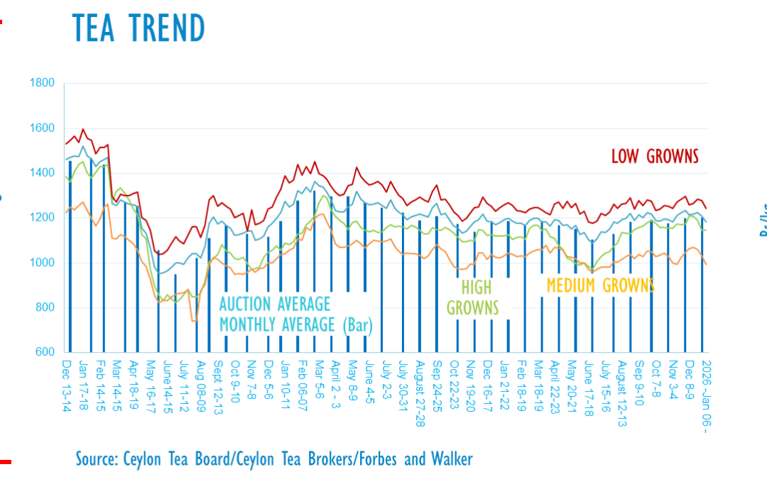 Sri Lanka tea prices down on Iran, High Growns recover some losses