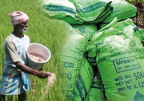 විල්ග­මුවේ කාබ­නික පොහොර සමා­ග­මක කළමනාකරු                 ගොවීන්ගේ මුදල් කෝටි ගණ­නින් වංචා කරලා