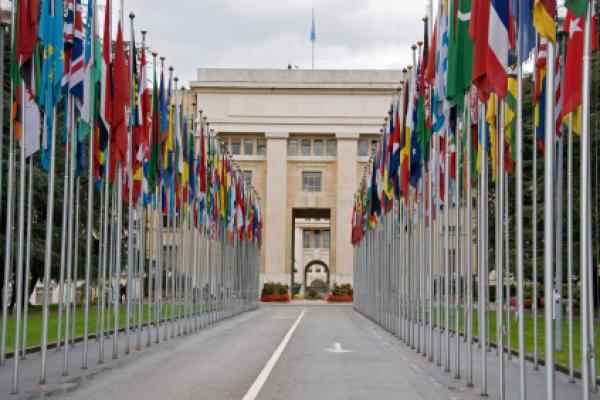 බලු­කි­ස්තාන විමුක්ති හමු­දාවේ ත්‍රස්ත ප්‍රහාරයන්                                        දැඩි සේ හෙළා දකිනවා                                                                              — එක්සත් ජාතීන්ගේ ආර­ක්ෂක කවු­න්සි­ලය කියයි