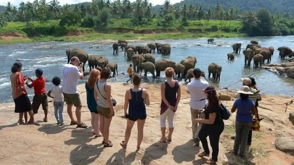ශ්‍රී ලංකාවට සංචාරකයන්ගේ පැමිණීම                                                  ජනවාරියේ ඉහළ ගියත් ආදායම 5.6 %කින් පහළ වැටිලා                                — දත්තවලින් හෙළි වෙයි