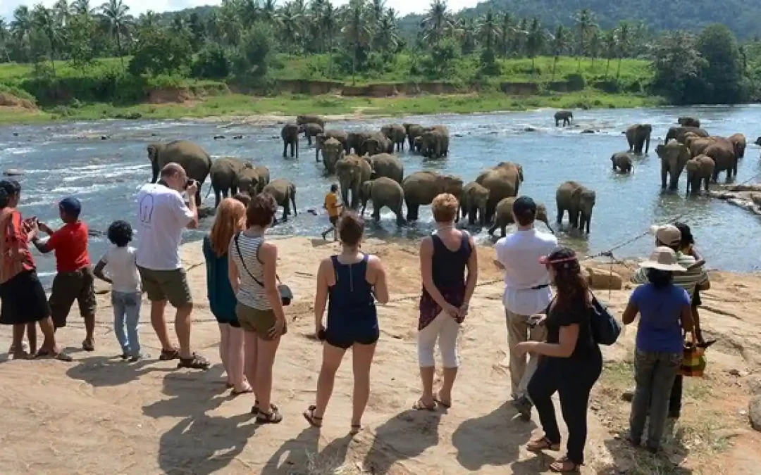 ශ්‍රී ලංකාවට සංචාරකයන්ගේ පැමිණීම                                                  ජනවාරියේ ඉහළ ගියත් ආදායම 5.6 %කින් පහළ වැටිලා                                — දත්තවලින් හෙළි වෙයි
