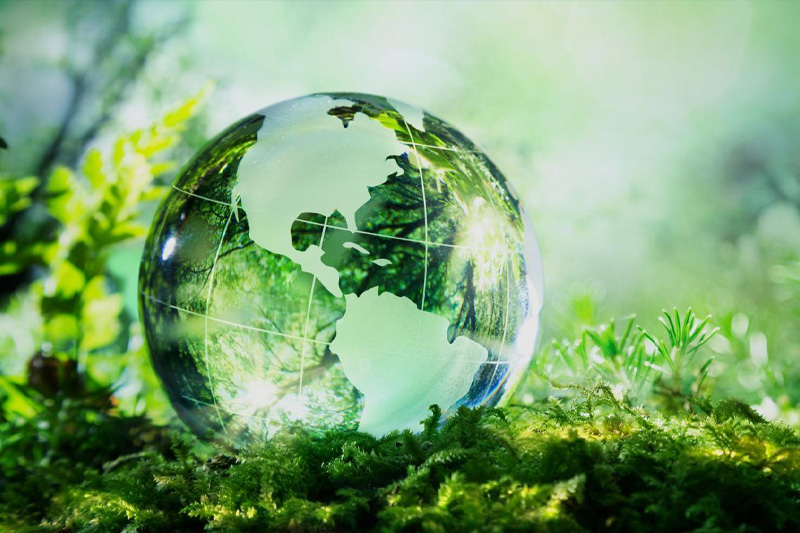 Sri Lanka languishes in bottom tier of global environmental rankings