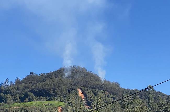 නානුඔය රක්ෂිතයේ ගින්නක්