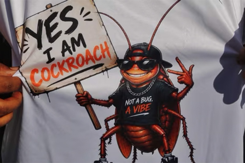 Cockroaches hit the streets for the                                           first time in India