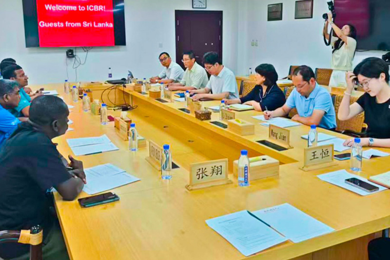 ශ්‍රී ලංකාවේ මිනිස් – අලි ගැටුම මඩින්න චීනයෙන් හරිත විසඳුමක්!