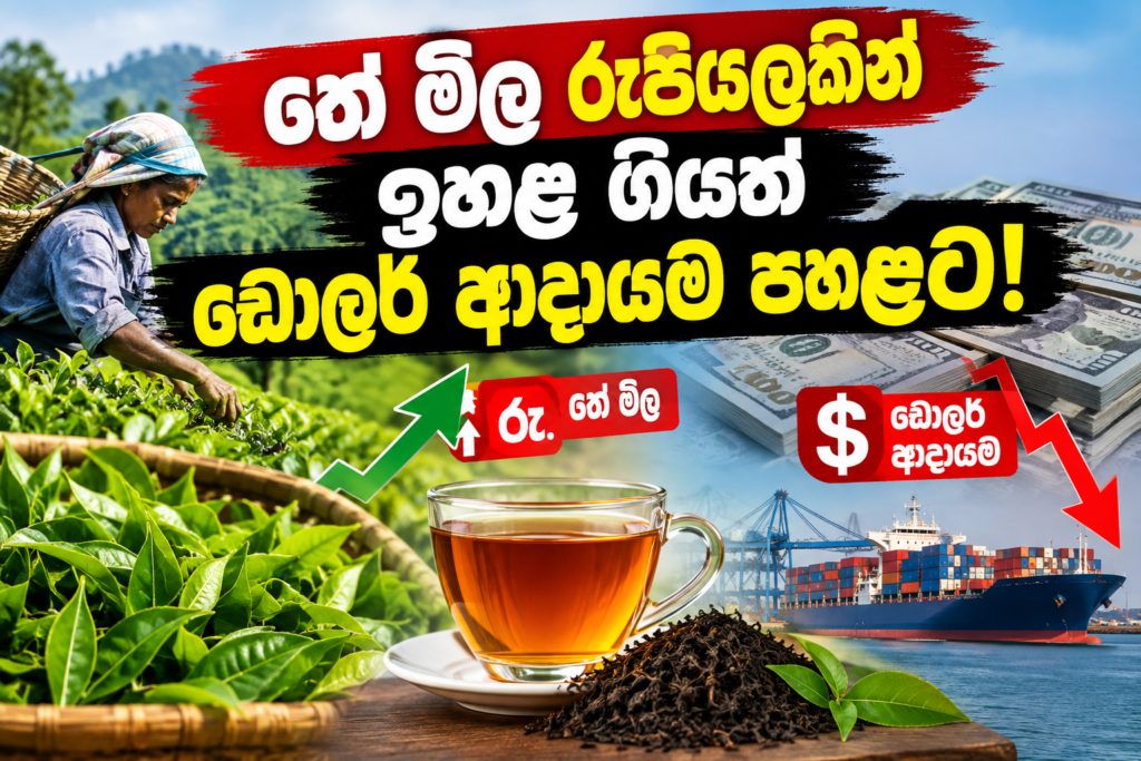තේ මිල රුපියලකින්  ඉහළ ගියත් ඩොලර් ආදායම පහළට!